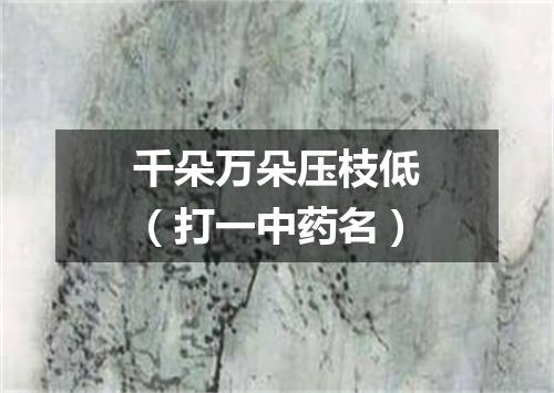 千朵万朵压枝低（打一中药名）