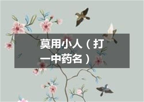 莫用小人（打一中药名）