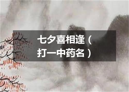 七夕喜相逢（打一中药名）