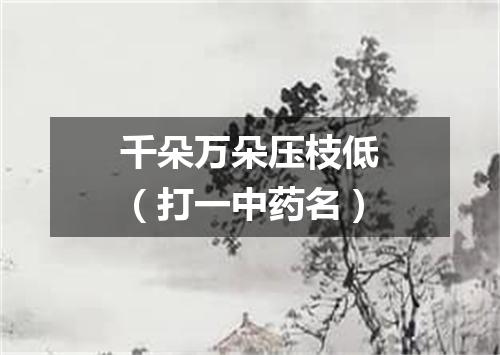 千朵万朵压枝低（打一中药名）