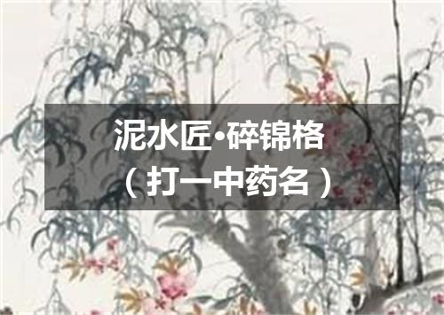 泥水匠·碎锦格（打一中药名）