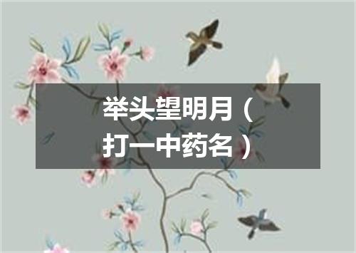 举头望明月（打一中药名）