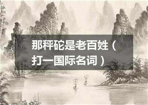 那秤砣是老百姓（打一国际名词）