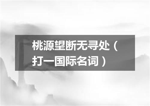 桃源望断无寻处（打一国际名词）