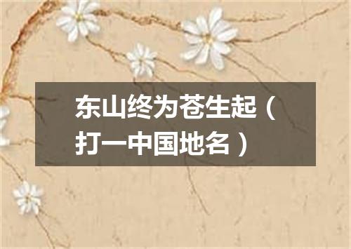 东山终为苍生起（打一中国地名）