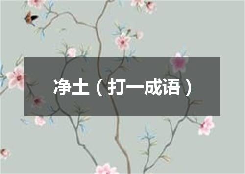 净土（打一成语）