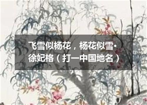飞雪似杨花，杨花似雪·徐妃格（打一中国地名）