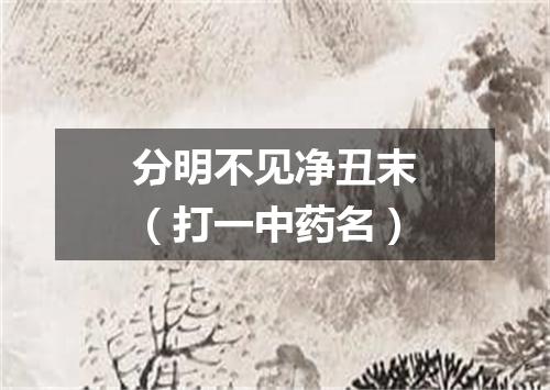 分明不见净丑末（打一中药名）