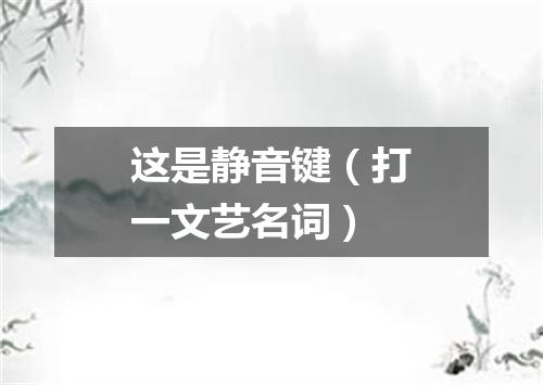 这是静音键（打一文艺名词）