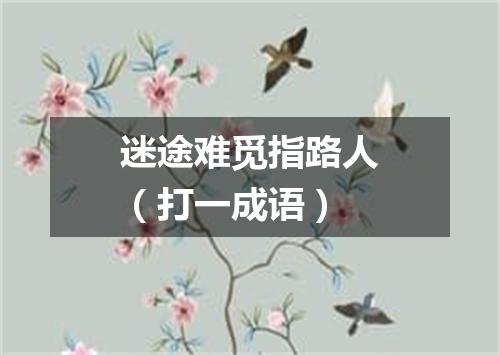 迷途难觅指路人（打一成语）