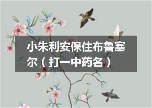 小朱利安保住布鲁塞尔（打一中药名）