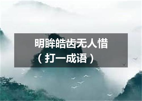 明眸皓齿无人惜（打一成语）