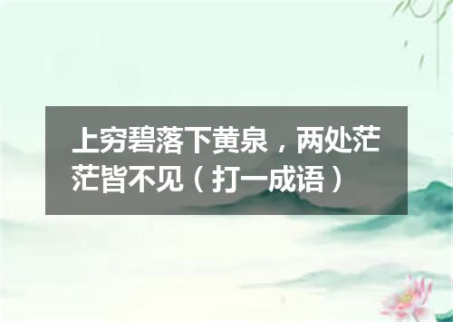 上穷碧落下黄泉，两处茫茫皆不见（打一成语）