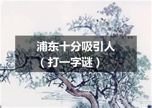 浦东十分吸引人（打一字谜）