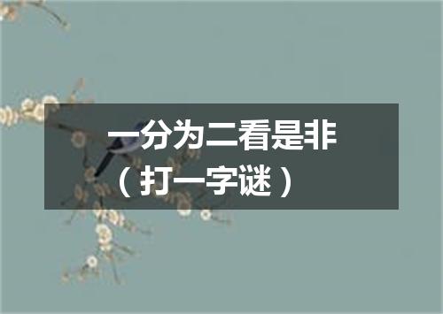一分为二看是非（打一字谜）