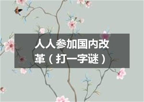 人人参加国内改革（打一字谜）