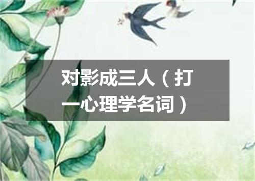对影成三人（打一心理学名词）