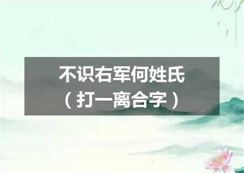 不识右军何姓氏（打一离合字）