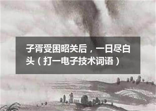 子胥受困昭关后，一日尽白头（打一电子技术词语）