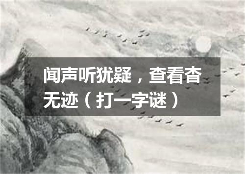 闻声听犹疑，查看杳无迹（打一字谜）