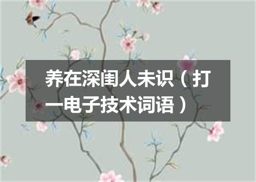 养在深闺人未识（打一电子技术词语）