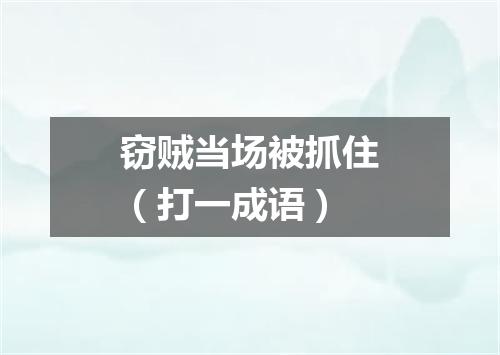 窃贼当场被抓住（打一成语）