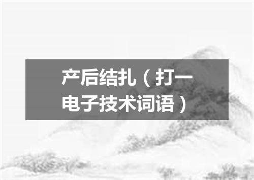 产后结扎（打一电子技术词语）