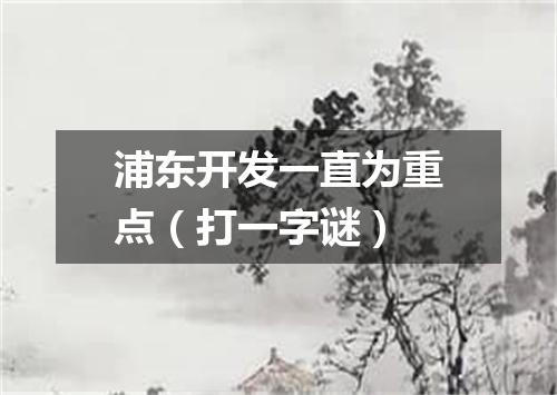 浦东开发一直为重点（打一字谜）
