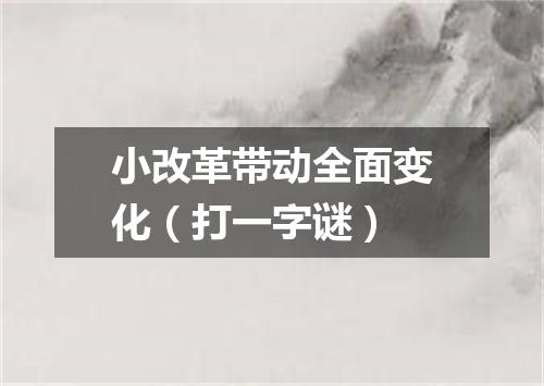 小改革带动全面变化（打一字谜）