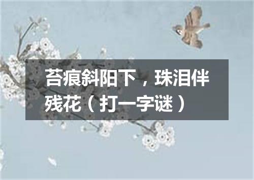 苔痕斜阳下，珠泪伴残花（打一字谜）