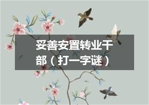 妥善安置转业干部（打一字谜）