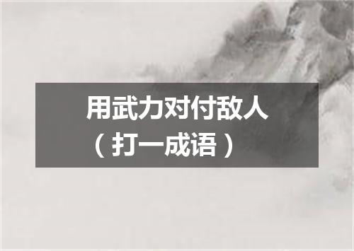 用武力对付敌人（打一成语）