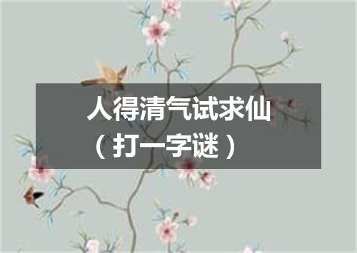 人得清气试求仙（打一字谜）