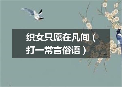 织女只愿在凡间（打一常言俗语）
