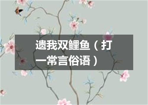 遗我双鲤鱼（打一常言俗语）