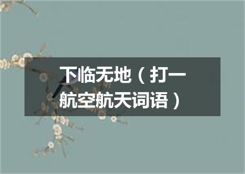 下临无地（打一航空航天词语）
