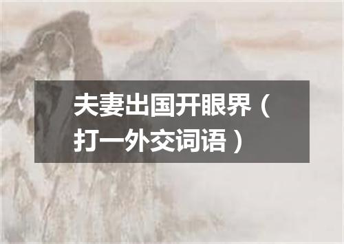 夫妻出国开眼界（打一外交词语）