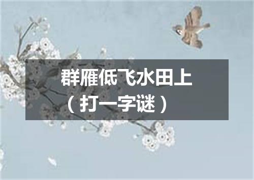 群雁低飞水田上（打一字谜）