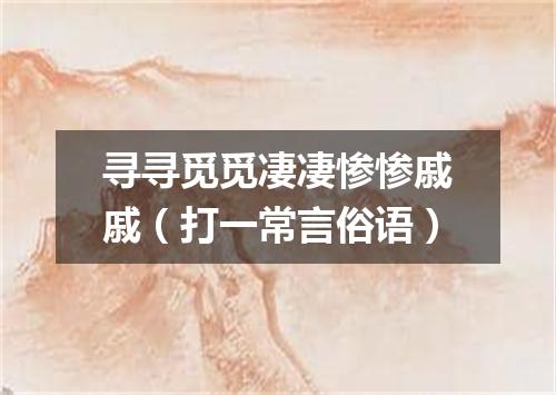 寻寻觅觅凄凄惨惨戚戚（打一常言俗语）