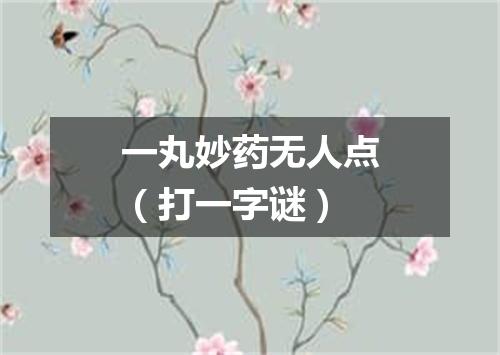 一丸妙药无人点（打一字谜）