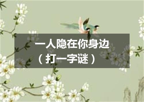 一人隐在你身边（打一字谜）