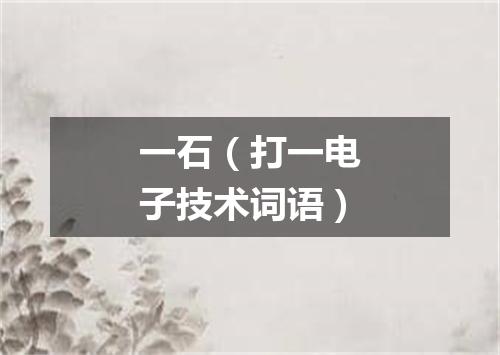 一石（打一电子技术词语）