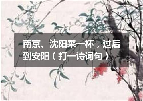 南京、沈阳来一杯，过后到安阳（打一诗词句）