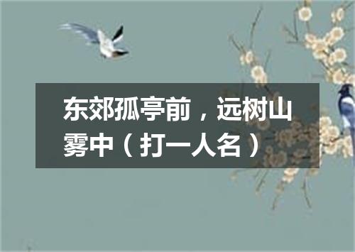 东郊孤亭前，远树山雾中（打一人名）