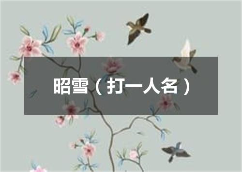 昭雪（打一人名）