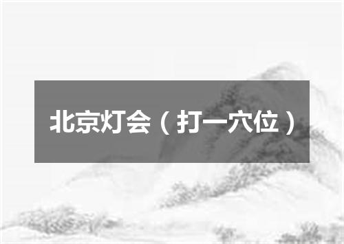 北京灯会（打一穴位）
