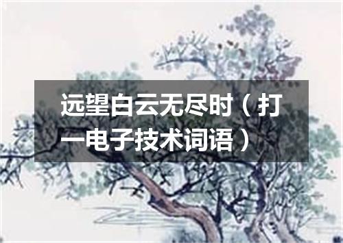 远望白云无尽时（打一电子技术词语）
