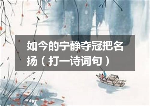 如今的宁静夺冠把名扬（打一诗词句）