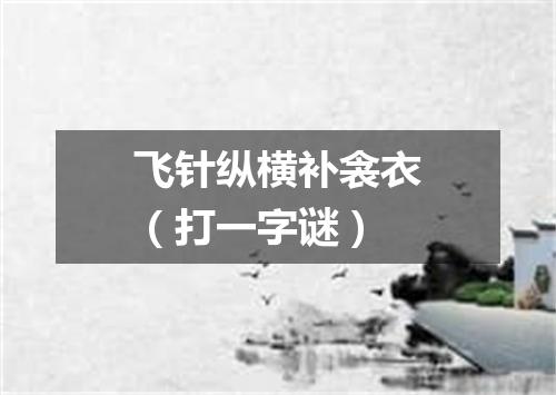 飞针纵横补衾衣（打一字谜）