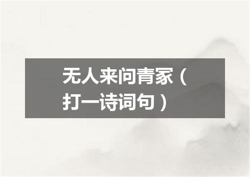 无人来问青冢（打一诗词句）